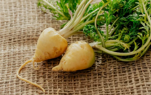 Maca Root